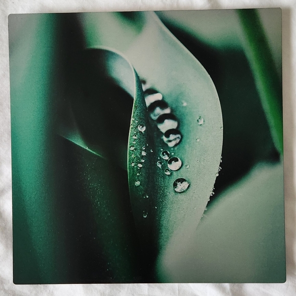 Original photo on metal